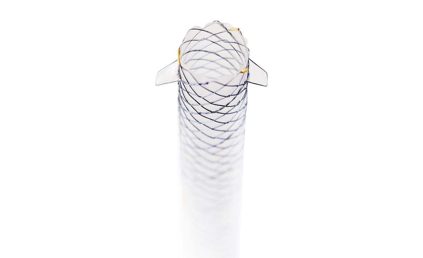 BCG HANAROSTENT® FAST™ Biliary Flap (CCC)